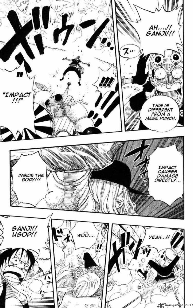 One Piece Chapter 246 — page 17