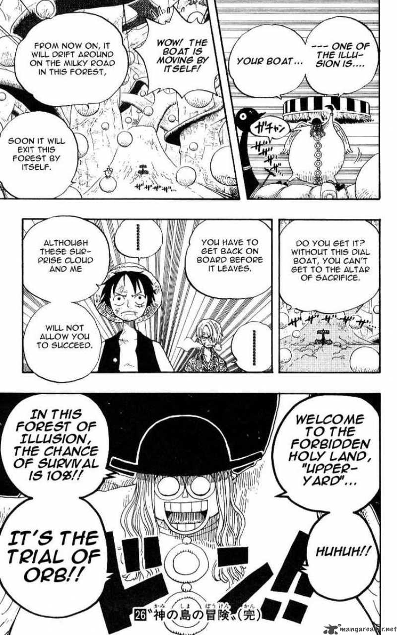 One Piece Chapter 246 — page 19