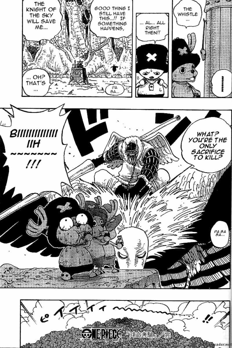 One Piece Chapter 247 — page 19