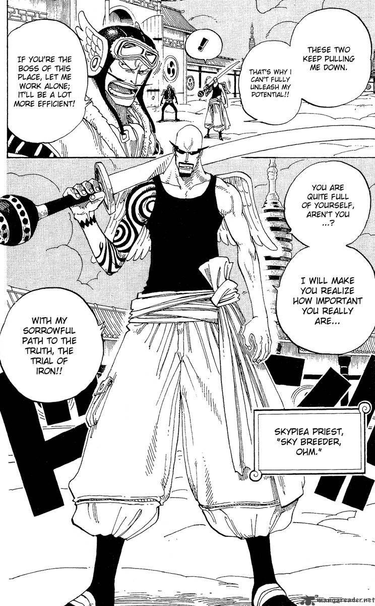 One Piece Chapter 254 — page 8