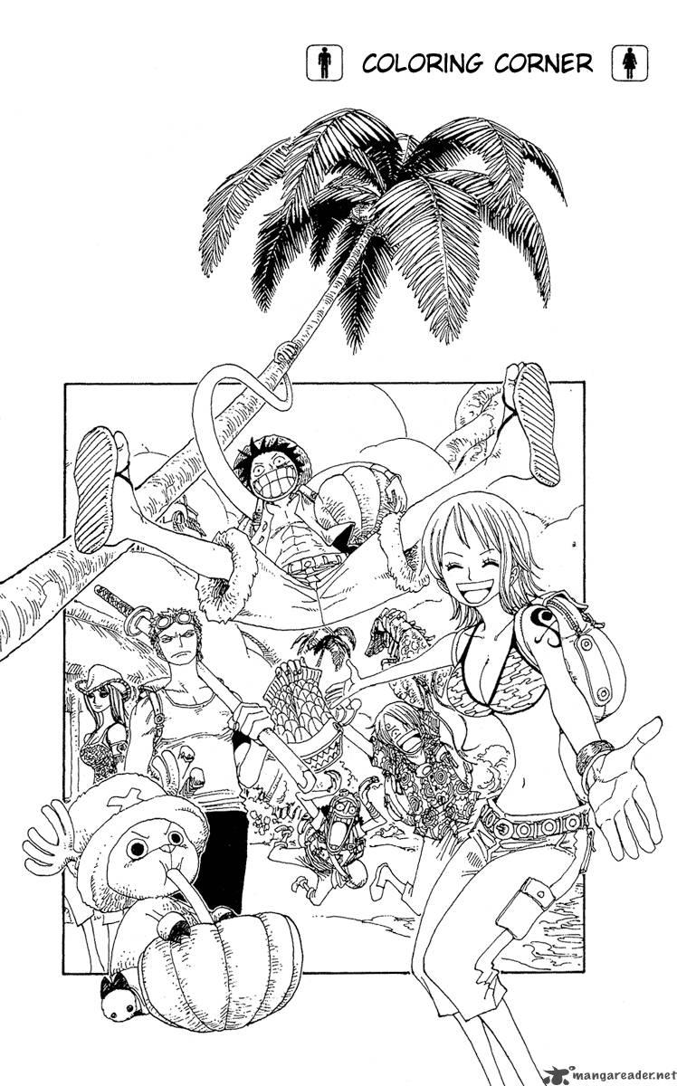 One Piece Chapter 254 — page 18