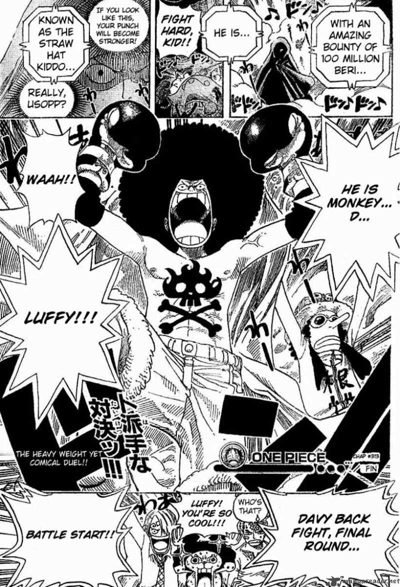 One Piece Chapter 313 — page 19