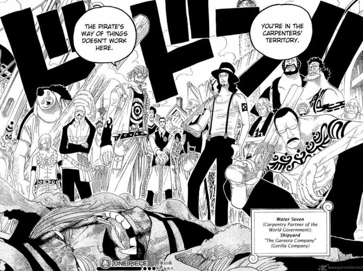 One Piece Chapter 323 — page 17