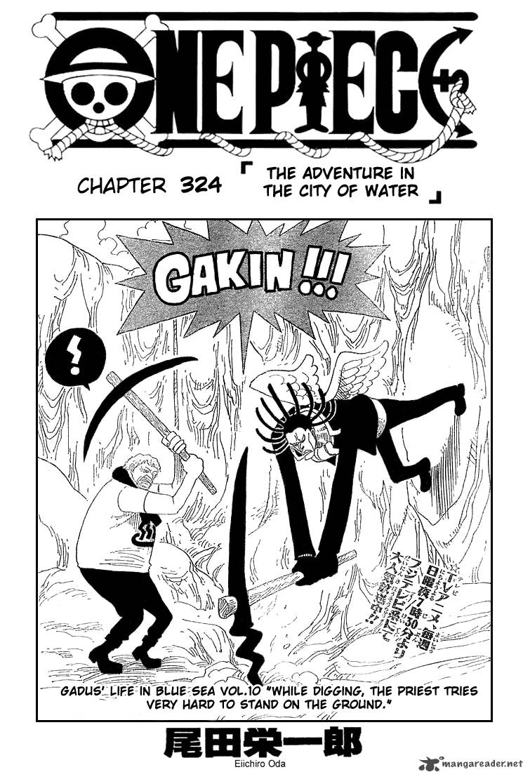 One Piece Chapter 324 — page 1