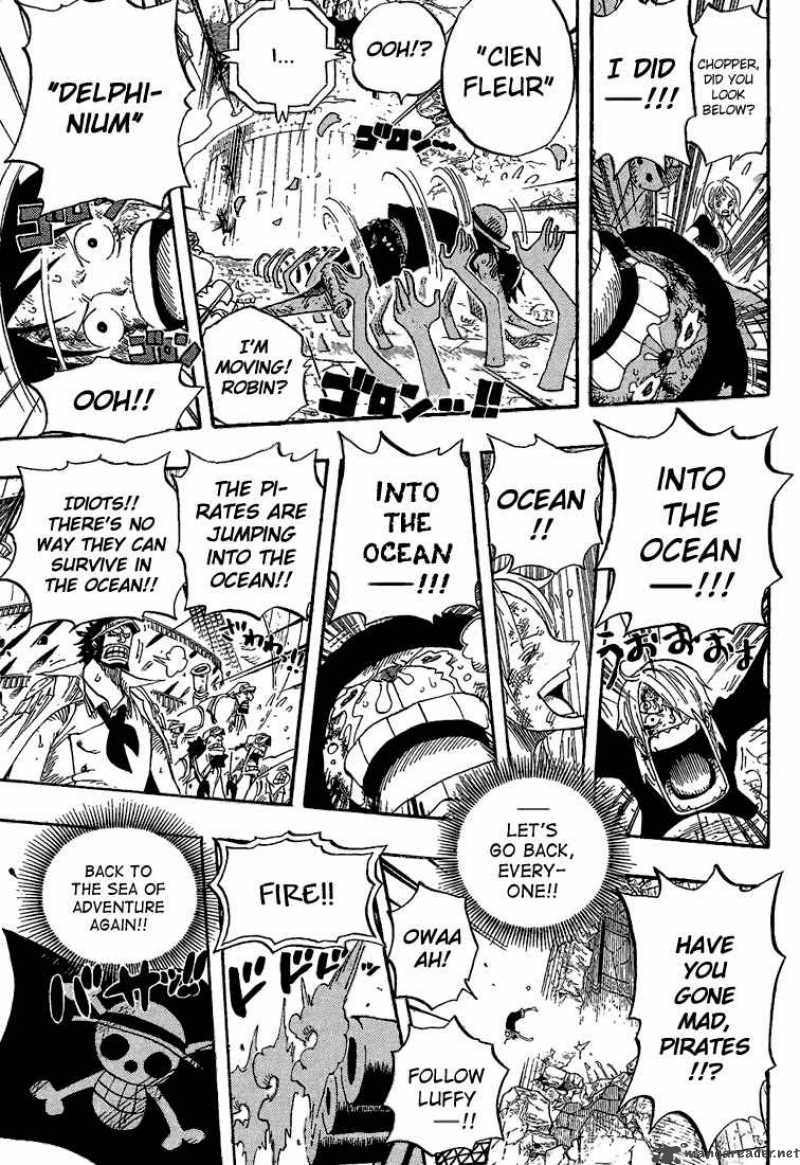 One Piece Chapter 428 — page 17
