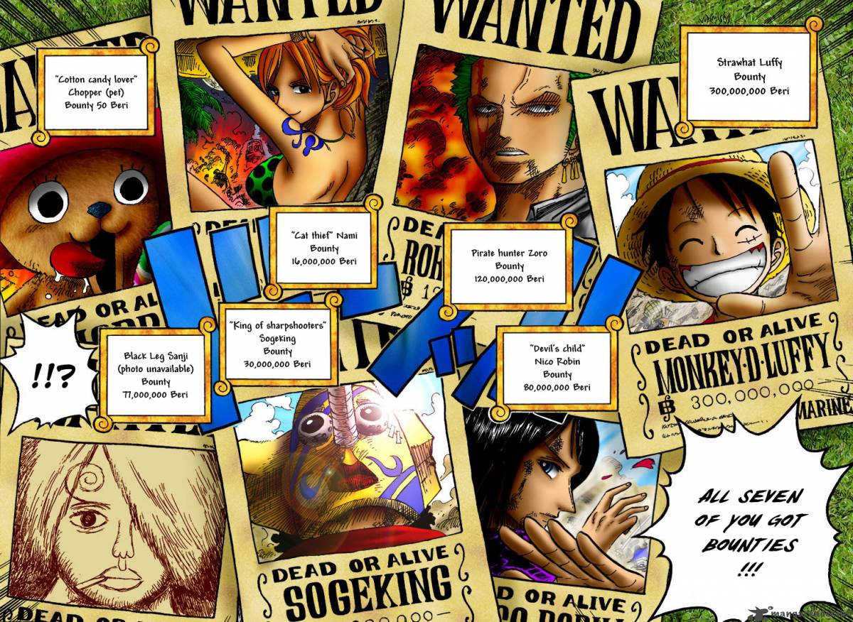 One Piece Chapter 435 — page 17