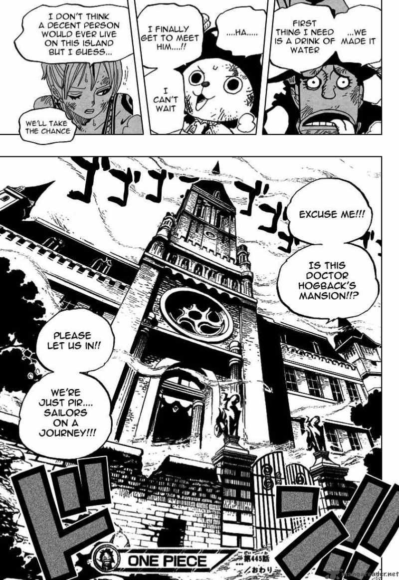 One Piece Chapter 445 — page 18
