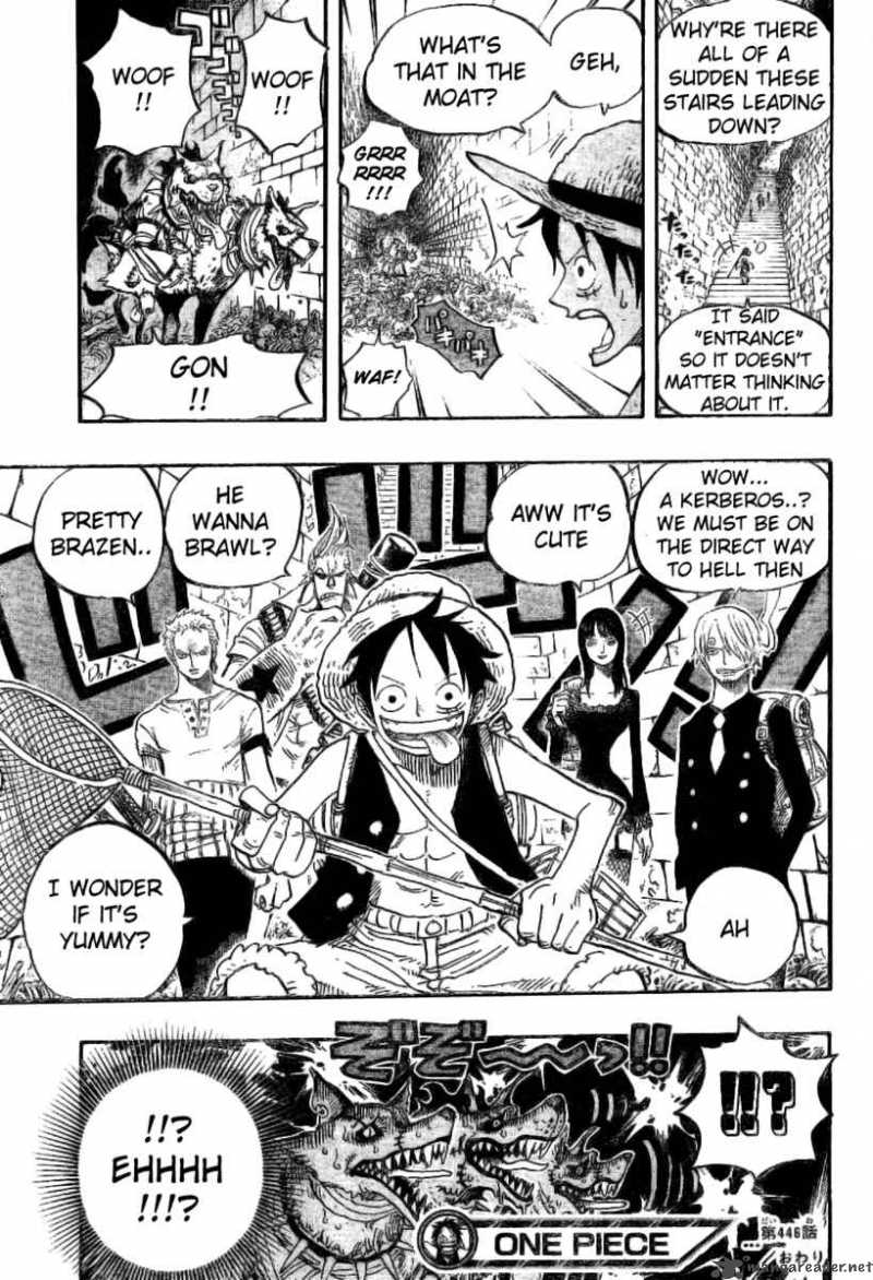 One Piece Chapter 446 — page 18