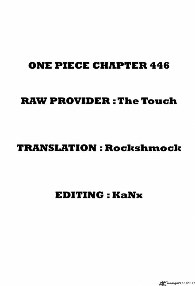 One Piece Chapter 446 — page 19