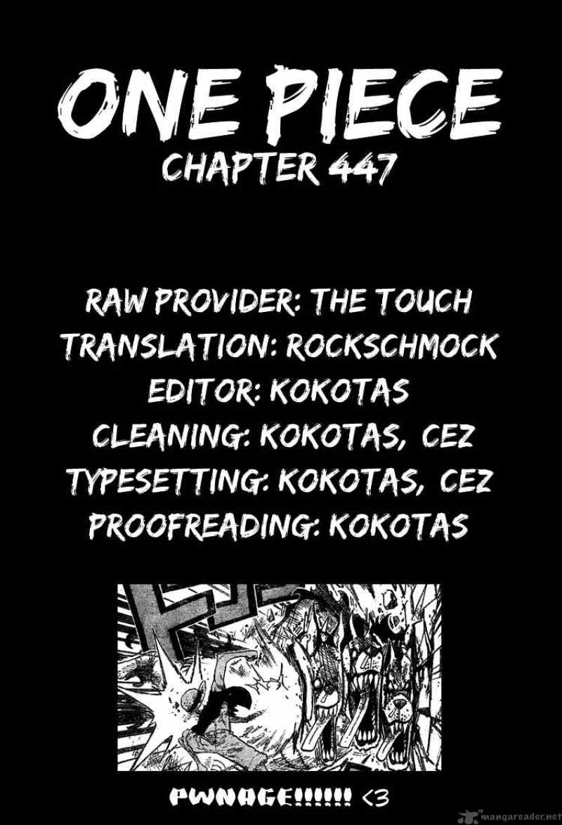 One Piece Chapter 447 — page 20