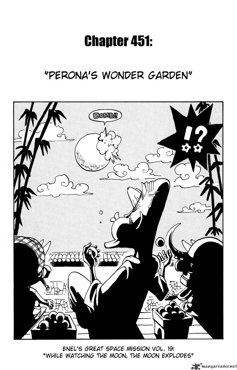 One Piece Chapter 451 — page 1