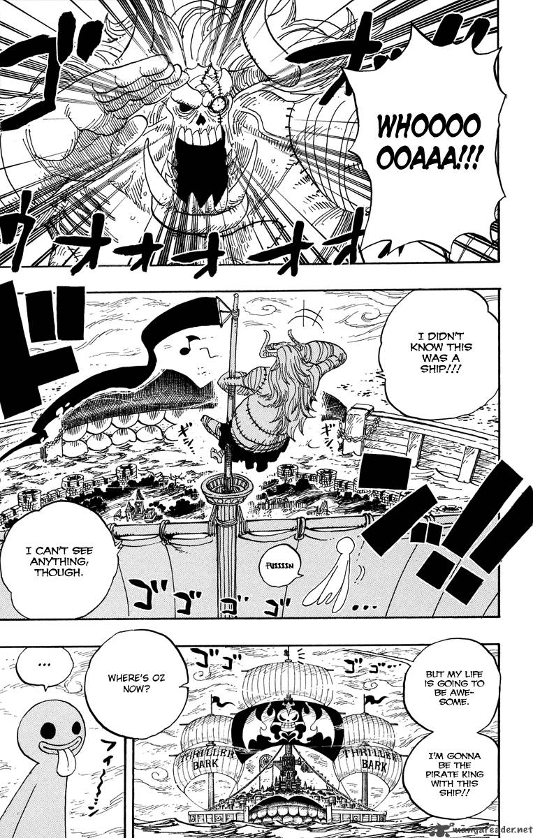 One Piece Chapter 460 — page 17