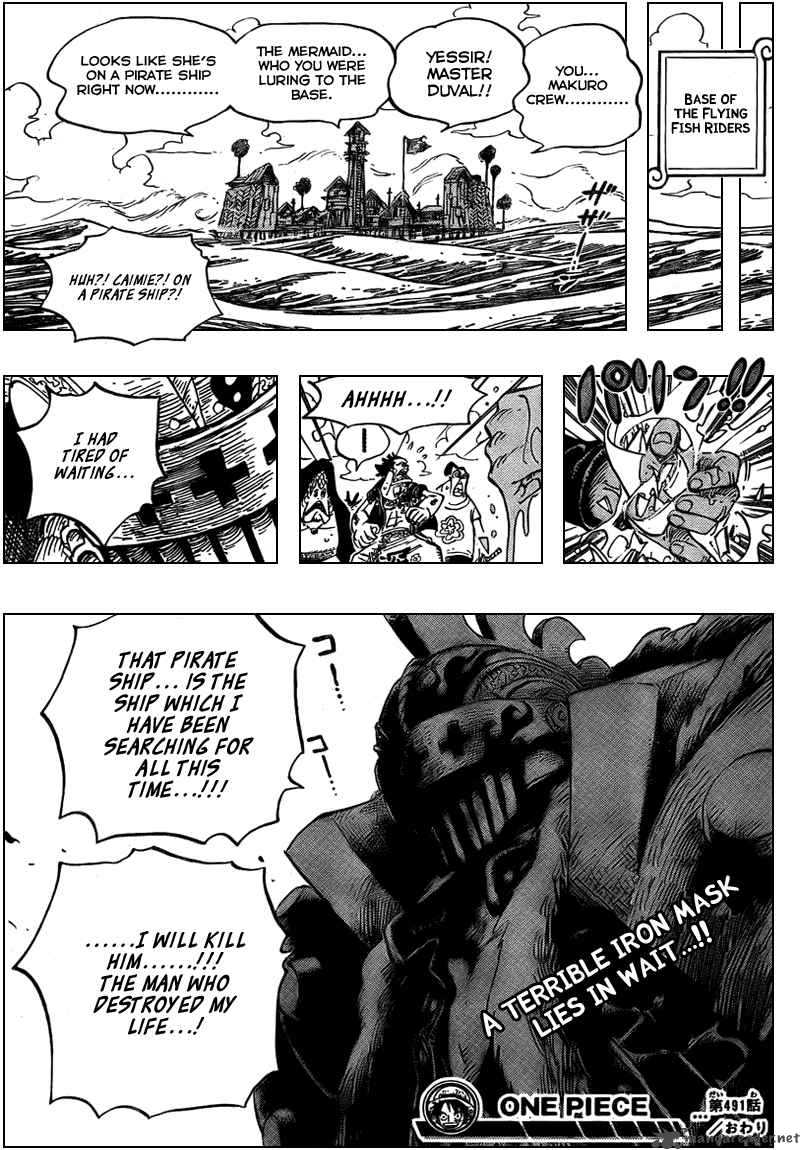 One Piece Chapter 491 — page 19