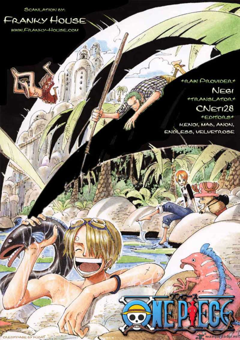 One Piece Chapter 492 — page 1