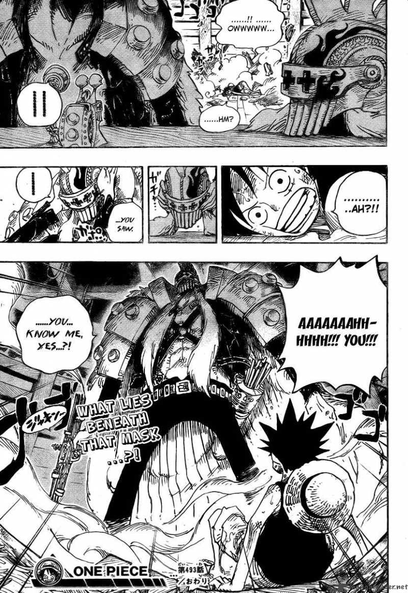 One Piece Chapter 493 — page 19