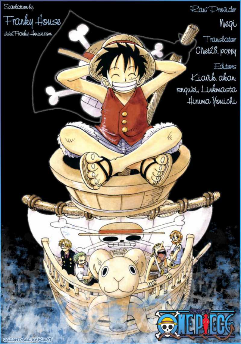 One Piece Chapter 493 — page 20
