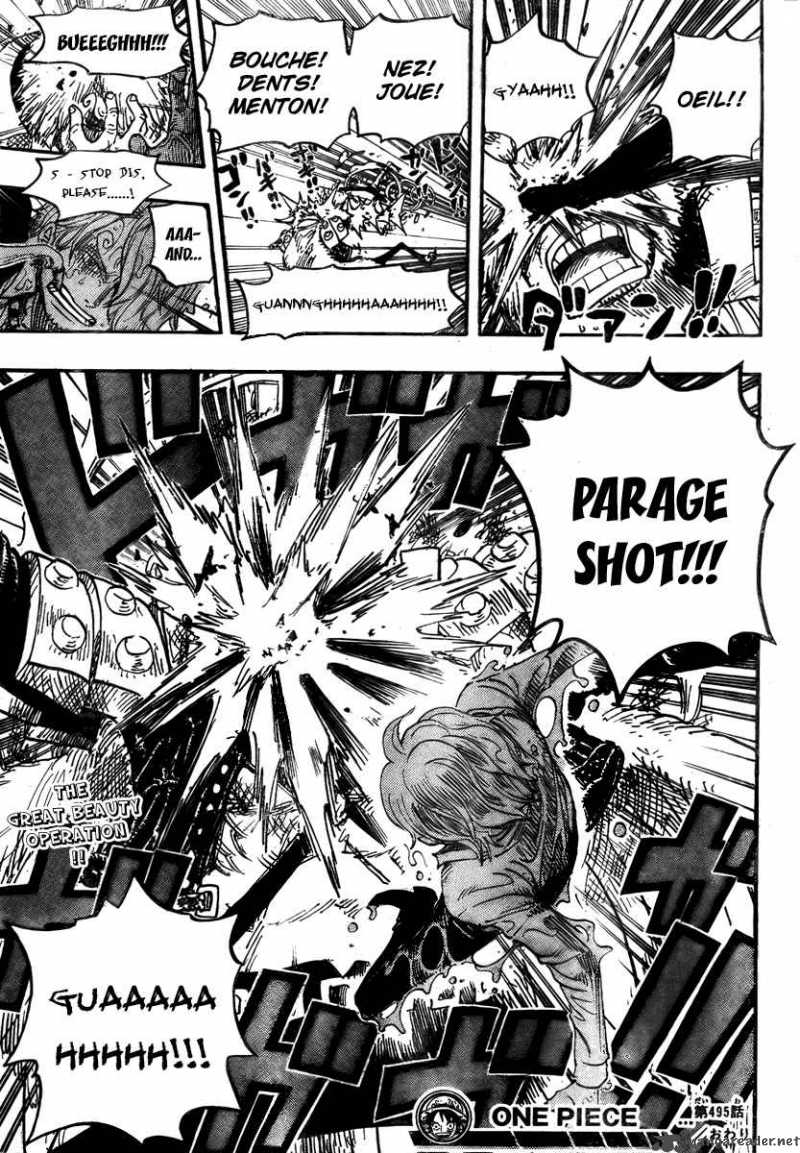 One Piece Chapter 495 — page 19