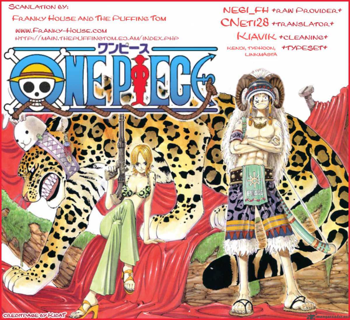 One Piece Chapter 495 — page 20