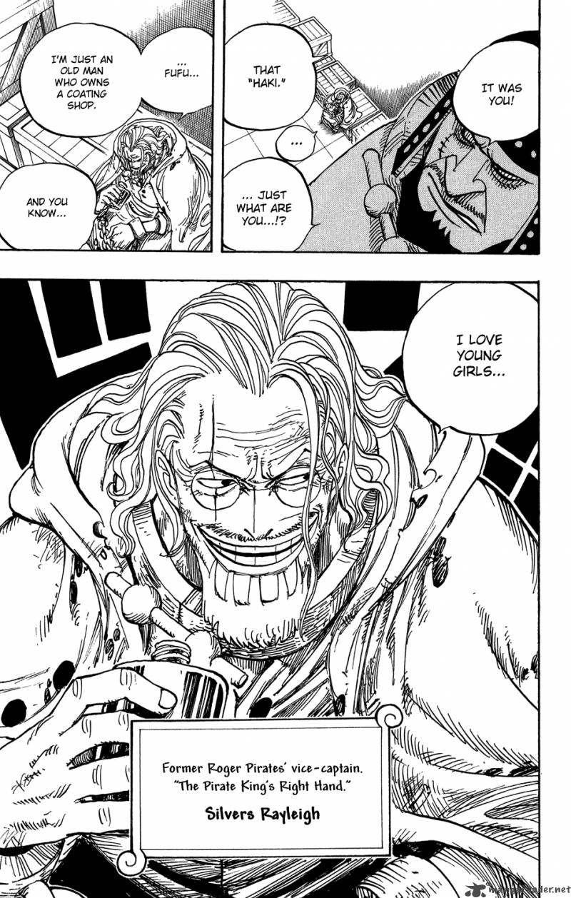 One Piece Chapter 500 — page 19