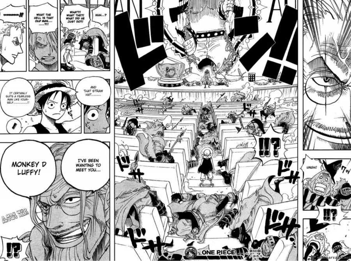 One Piece Chapter 503 — page 17
