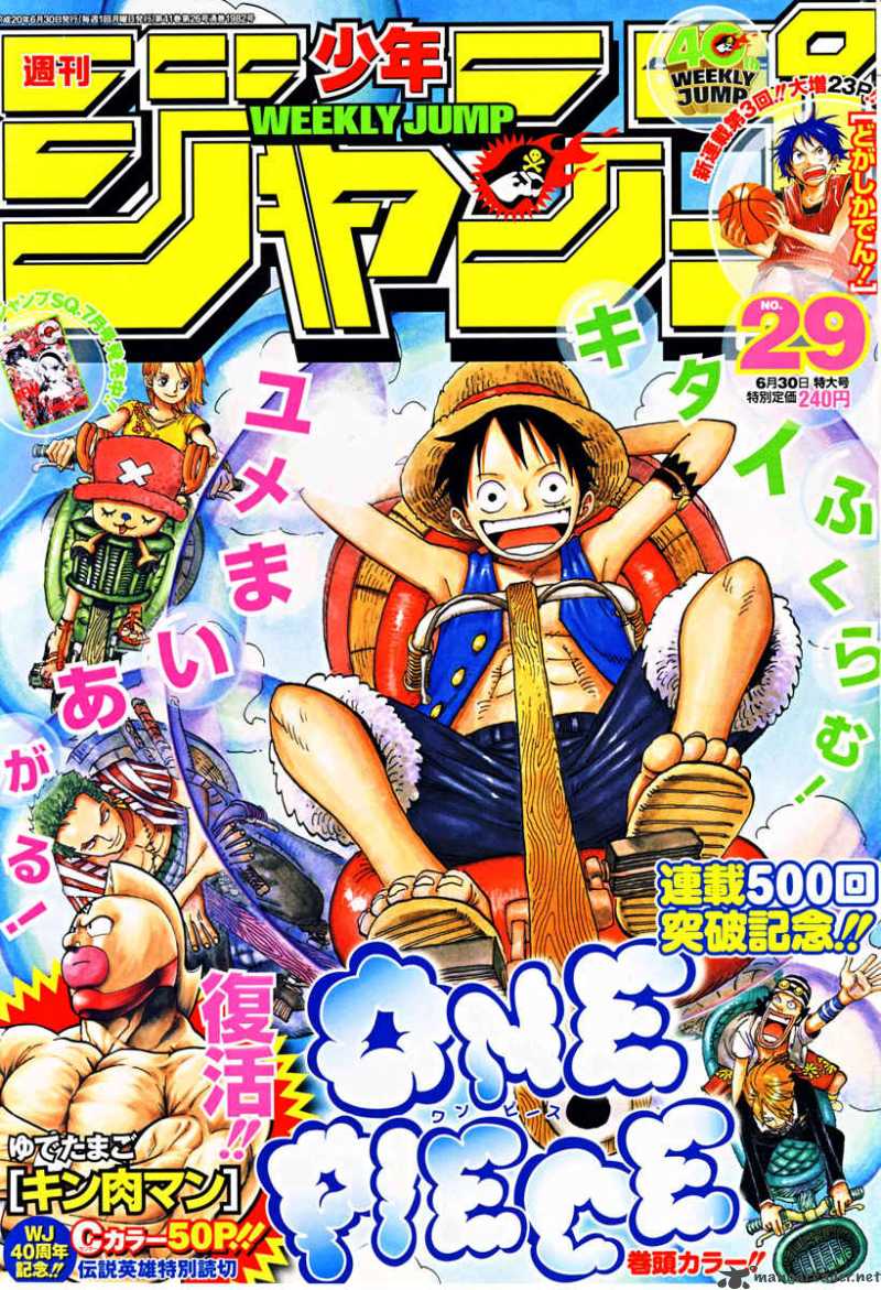 One Piece Chapter 503 — page 18