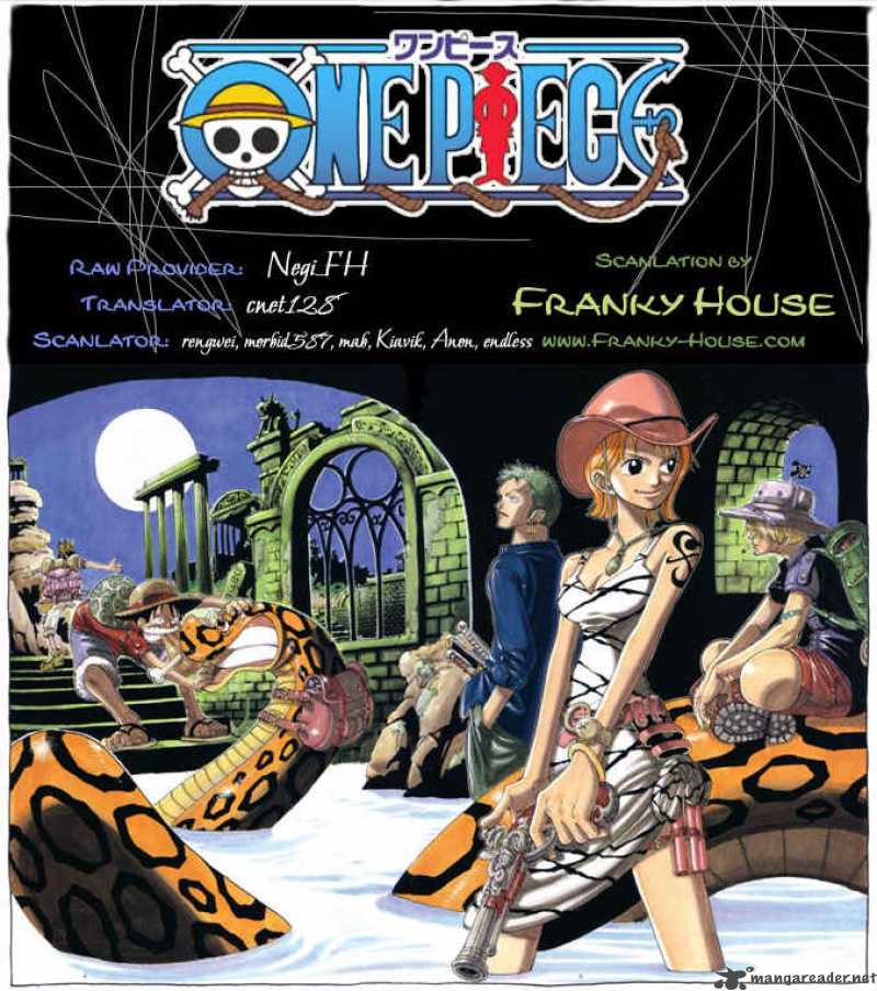 One Piece Chapter 503 — page 19