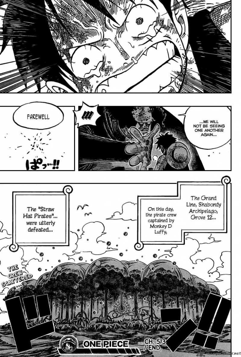 One Piece Chapter 513 — page 18