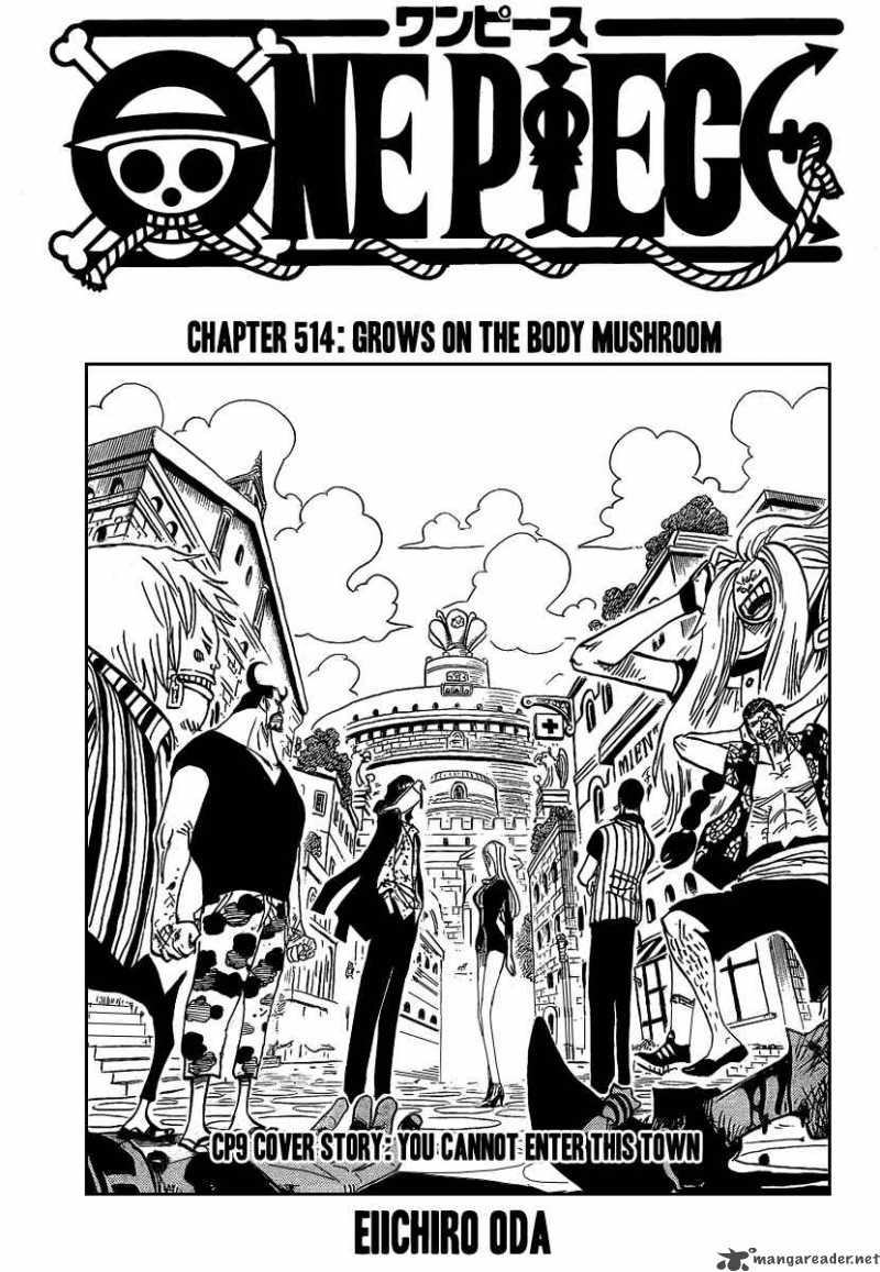 One Piece Chapter 514 — page 1