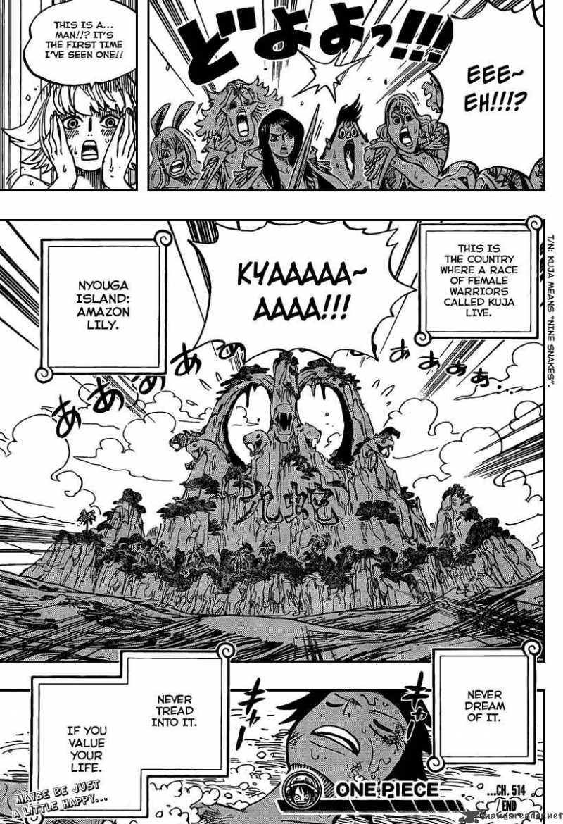 One Piece Chapter 514 — page 18
