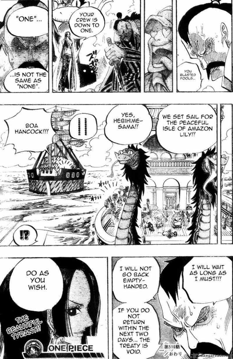 One Piece Chapter 516 — page 17