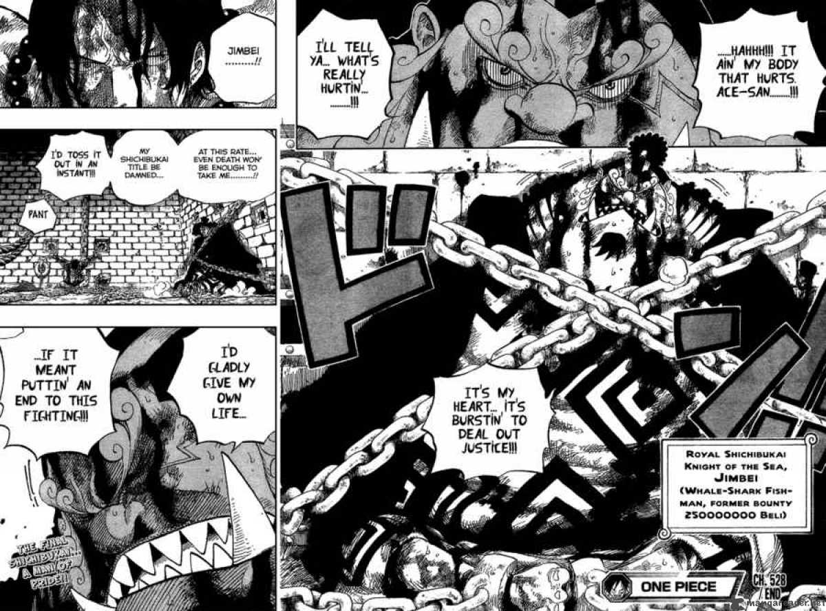 One Piece Chapter 528 — page 18