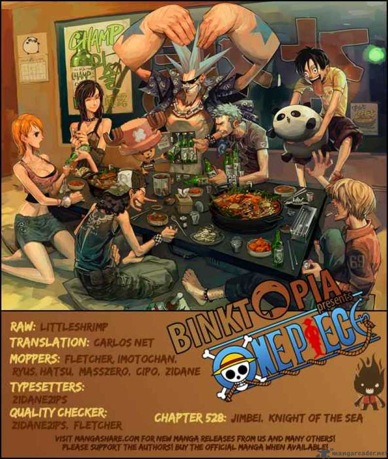 One Piece Chapter 528 — page 19