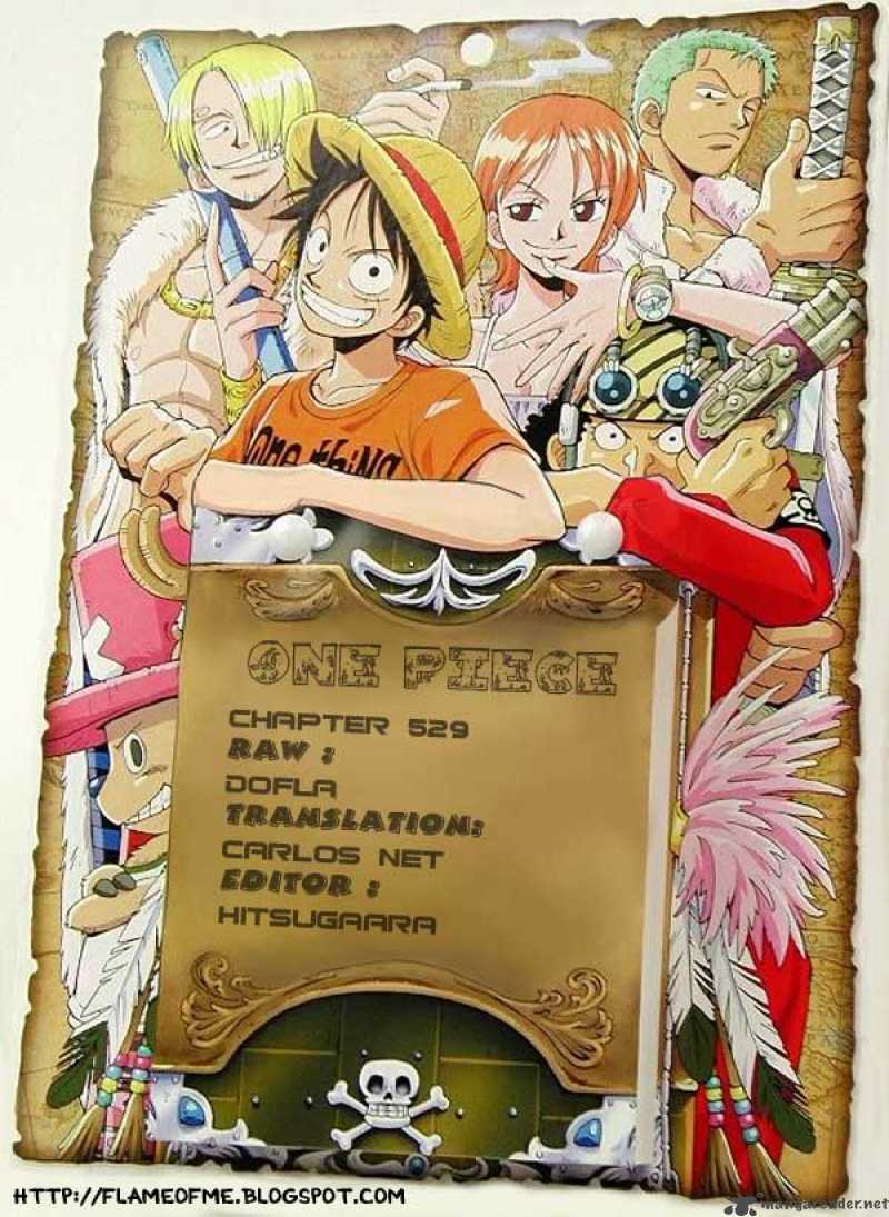 One Piece Chapter 529 — page 17