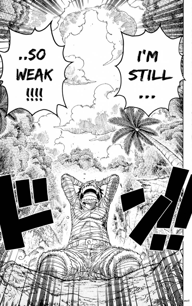 One Piece Chapter 589 — page 19
