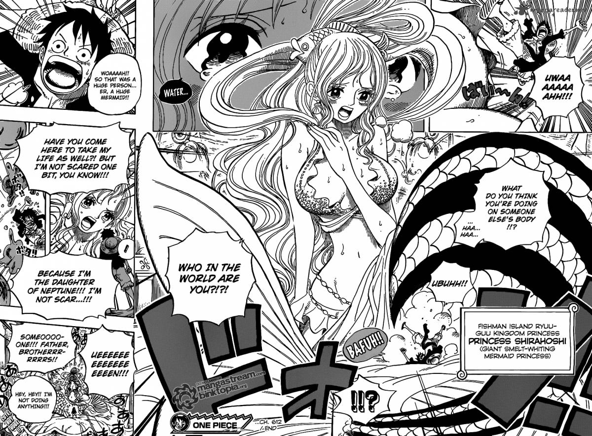 One Piece Chapter 612 — page 17