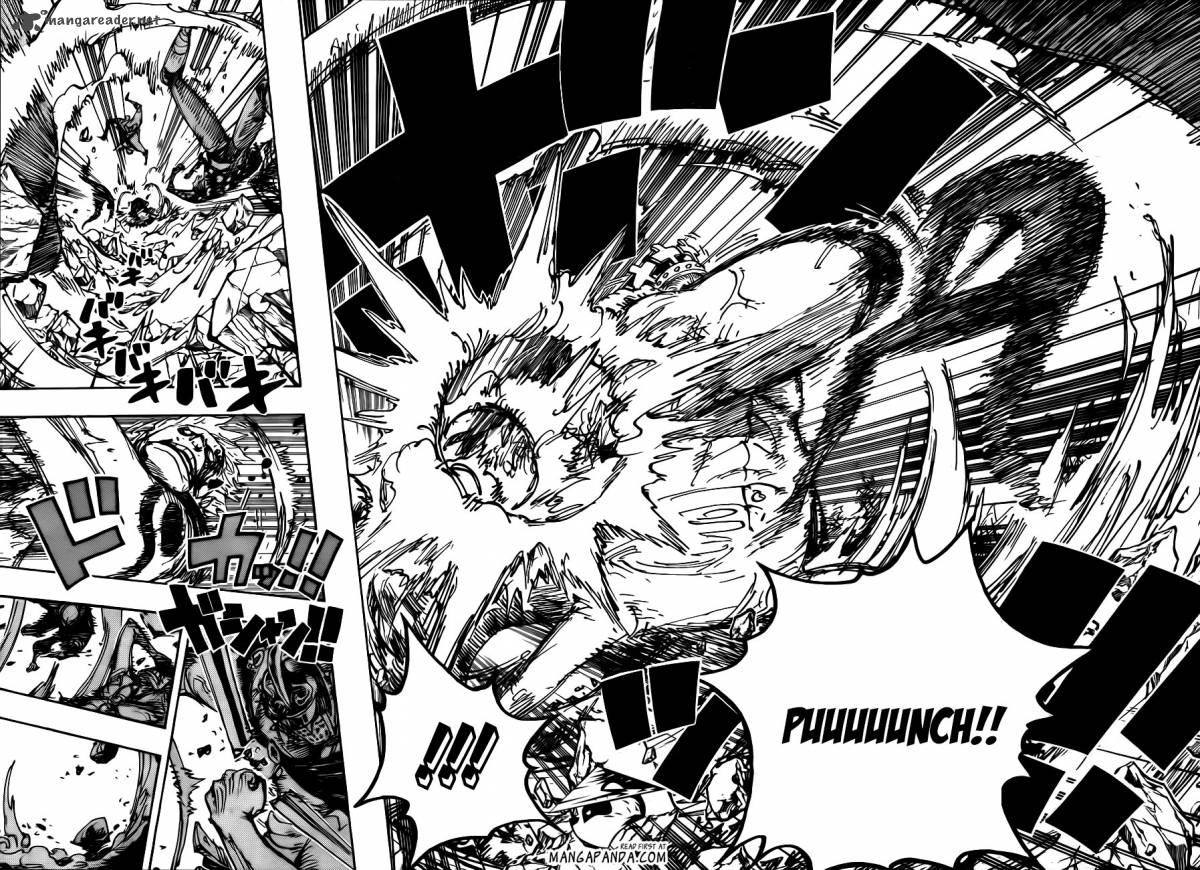 One Piece Chapter 709 — page 14