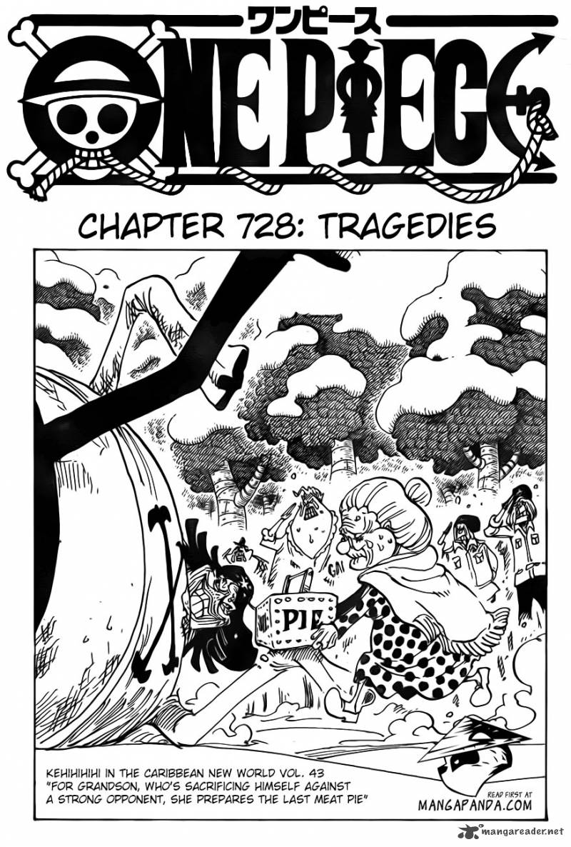 One Piece Chapter 728 — page 3