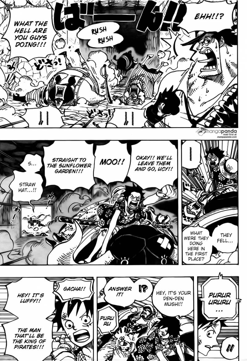 One Piece Chapter 751 — page 14