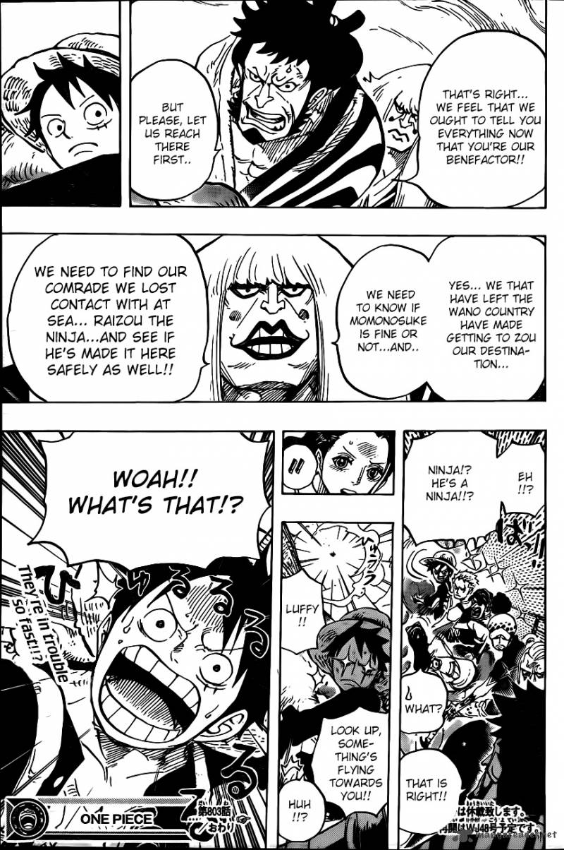 One Piece Chapter 803 — page 13