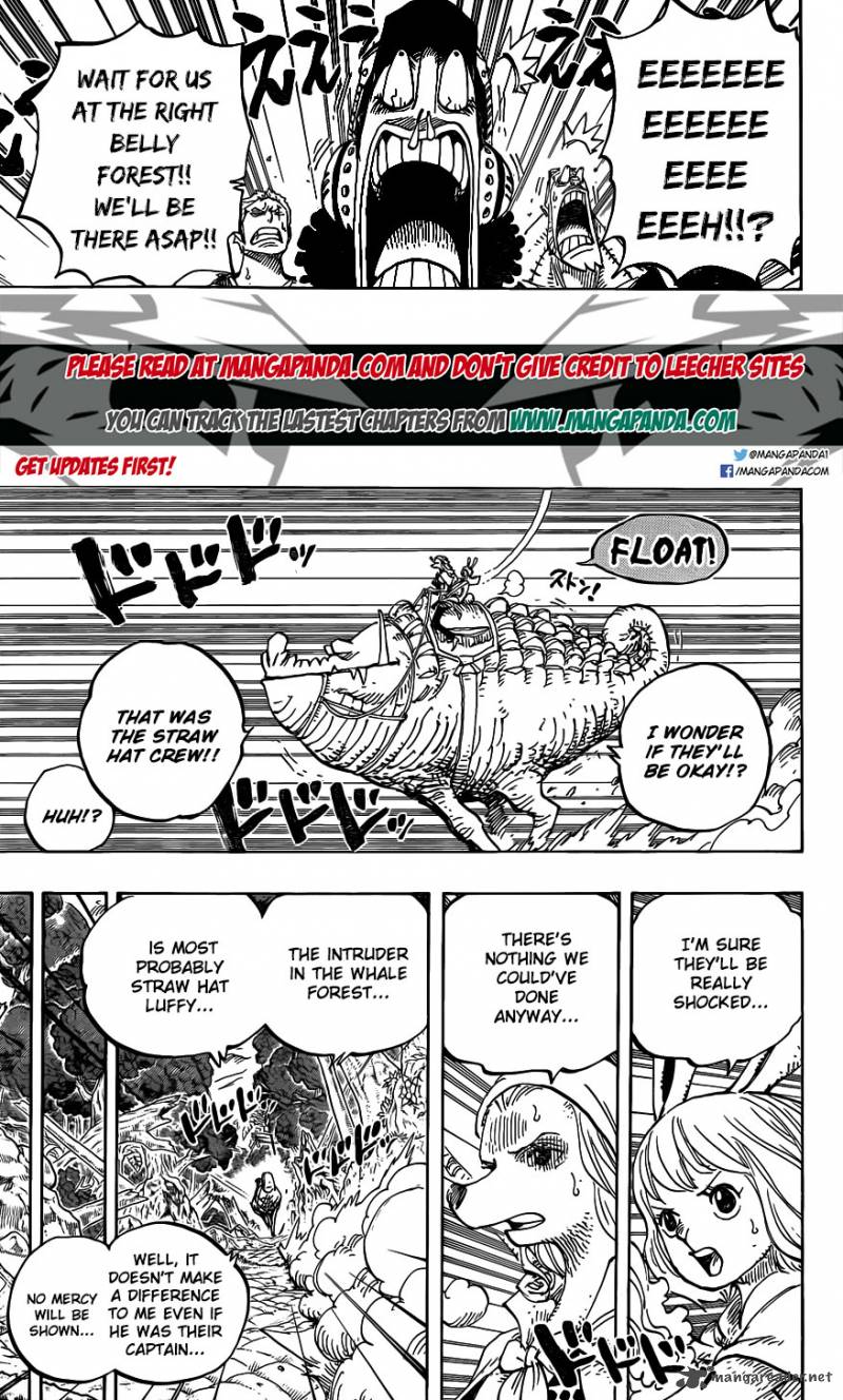 One Piece Chapter 805 — page 5