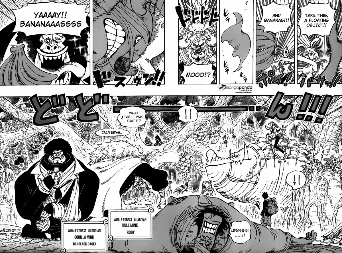 One Piece Chapter 805 — page 10