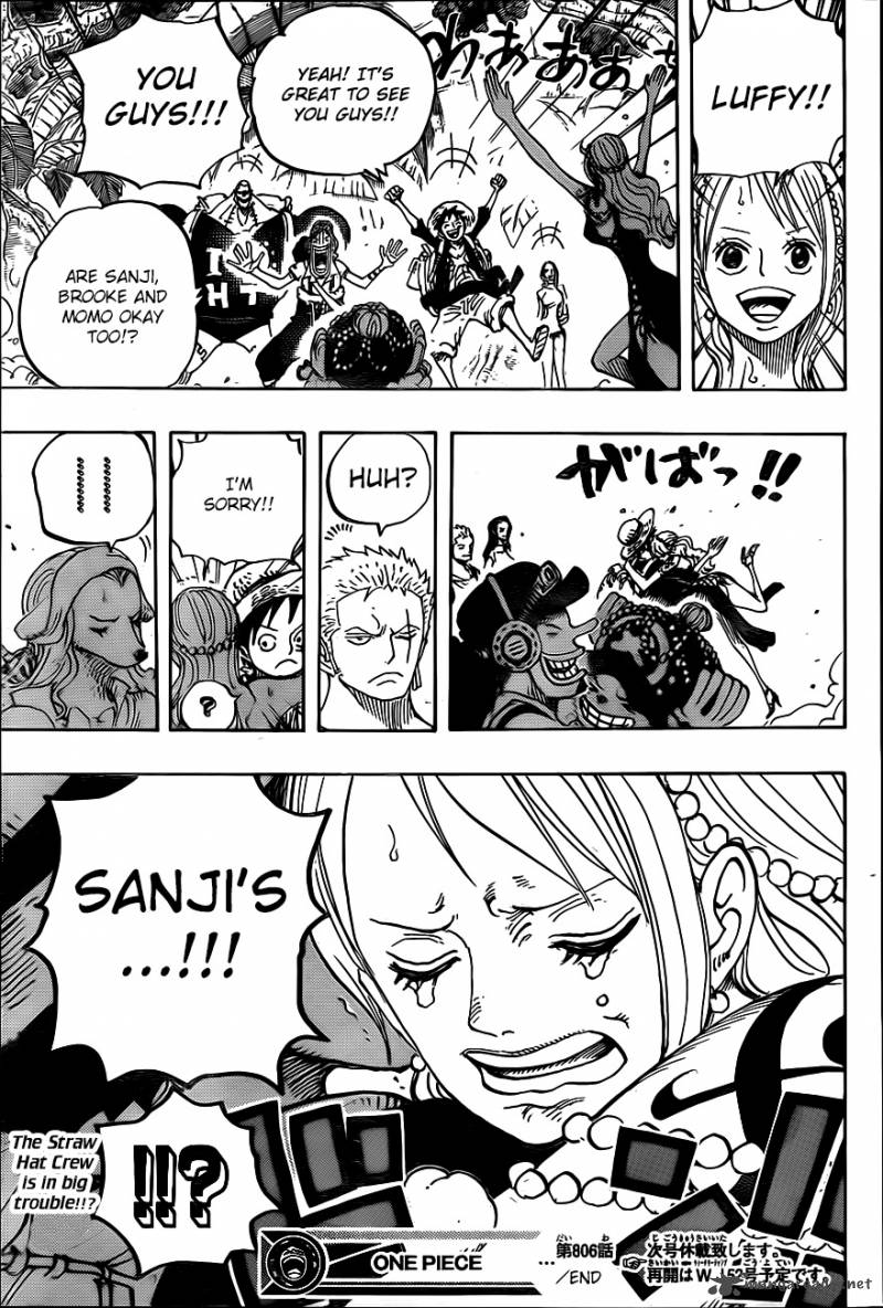 One Piece Chapter 806 — page 16