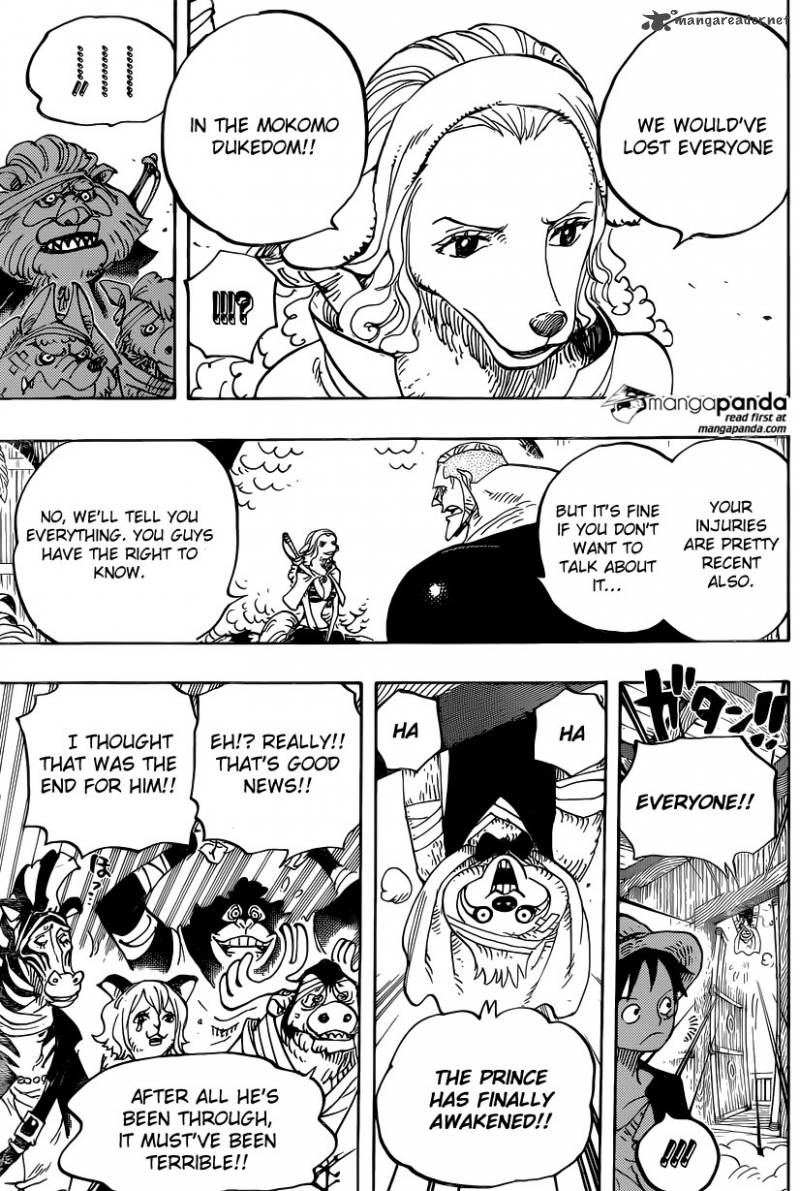 One Piece Chapter 807 — page 12