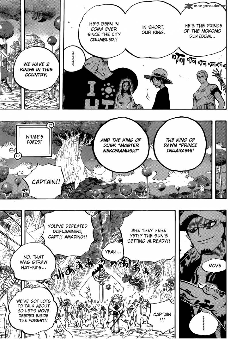 One Piece Chapter 807 — page 14