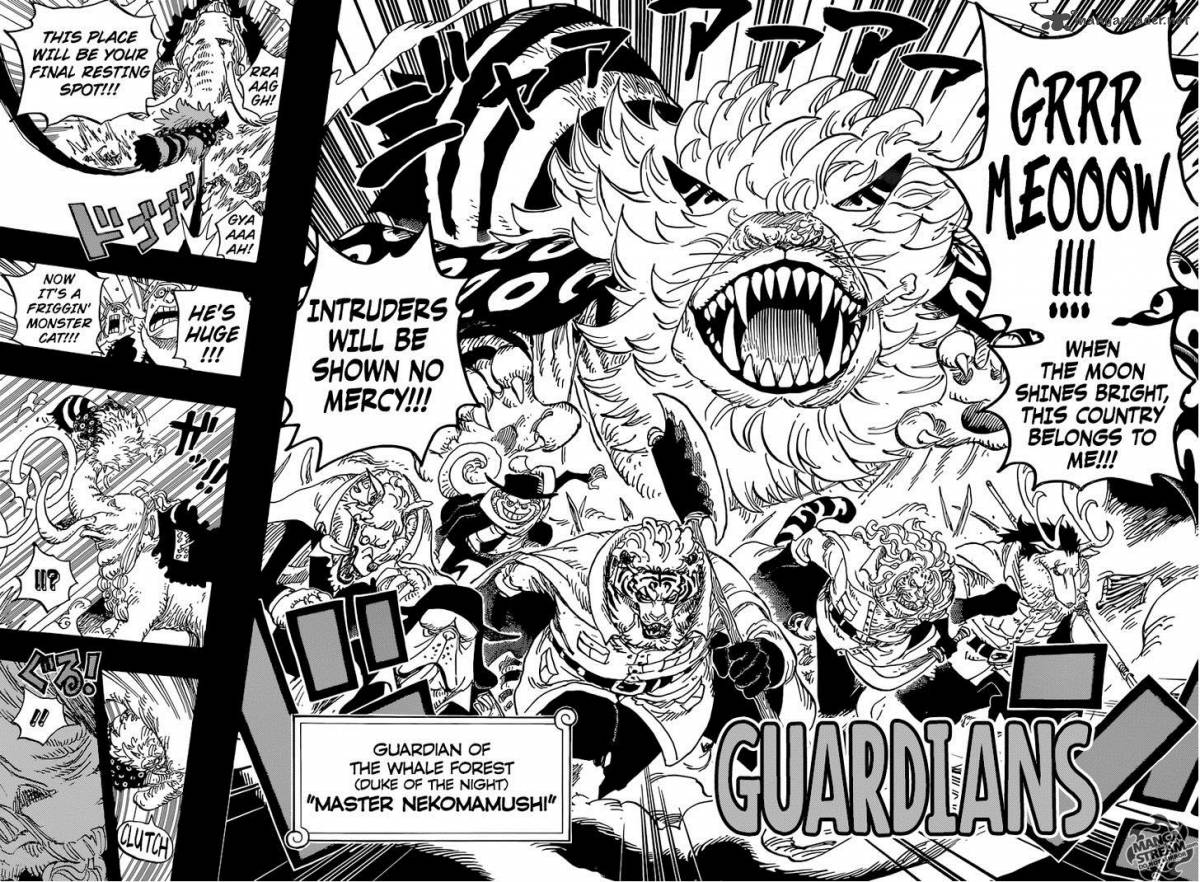 One Piece Chapter 809 — page 17