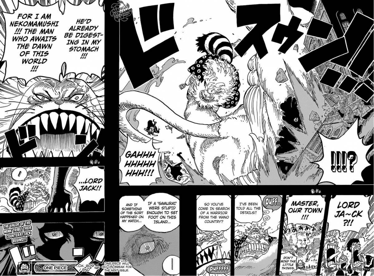 One Piece Chapter 809 — page 18