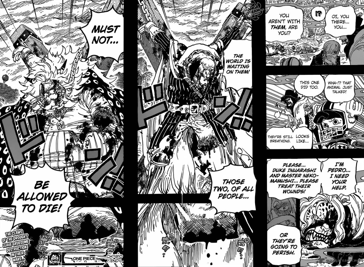 One Piece Chapter 810 — page 18