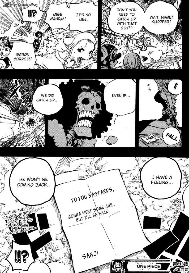 One Piece Chapter 813 — page 17