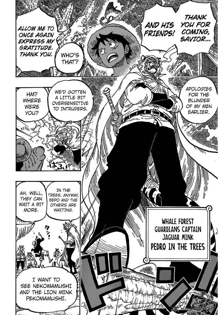 One Piece Chapter 814 — page 13