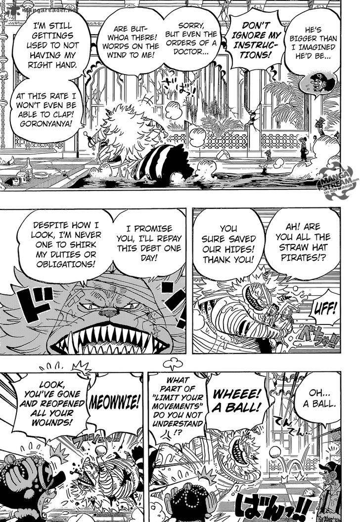One Piece Chapter 814 — page 16